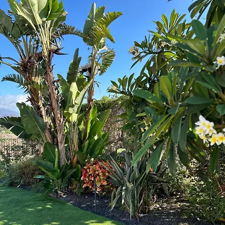 Landhuis Casa Pedro *